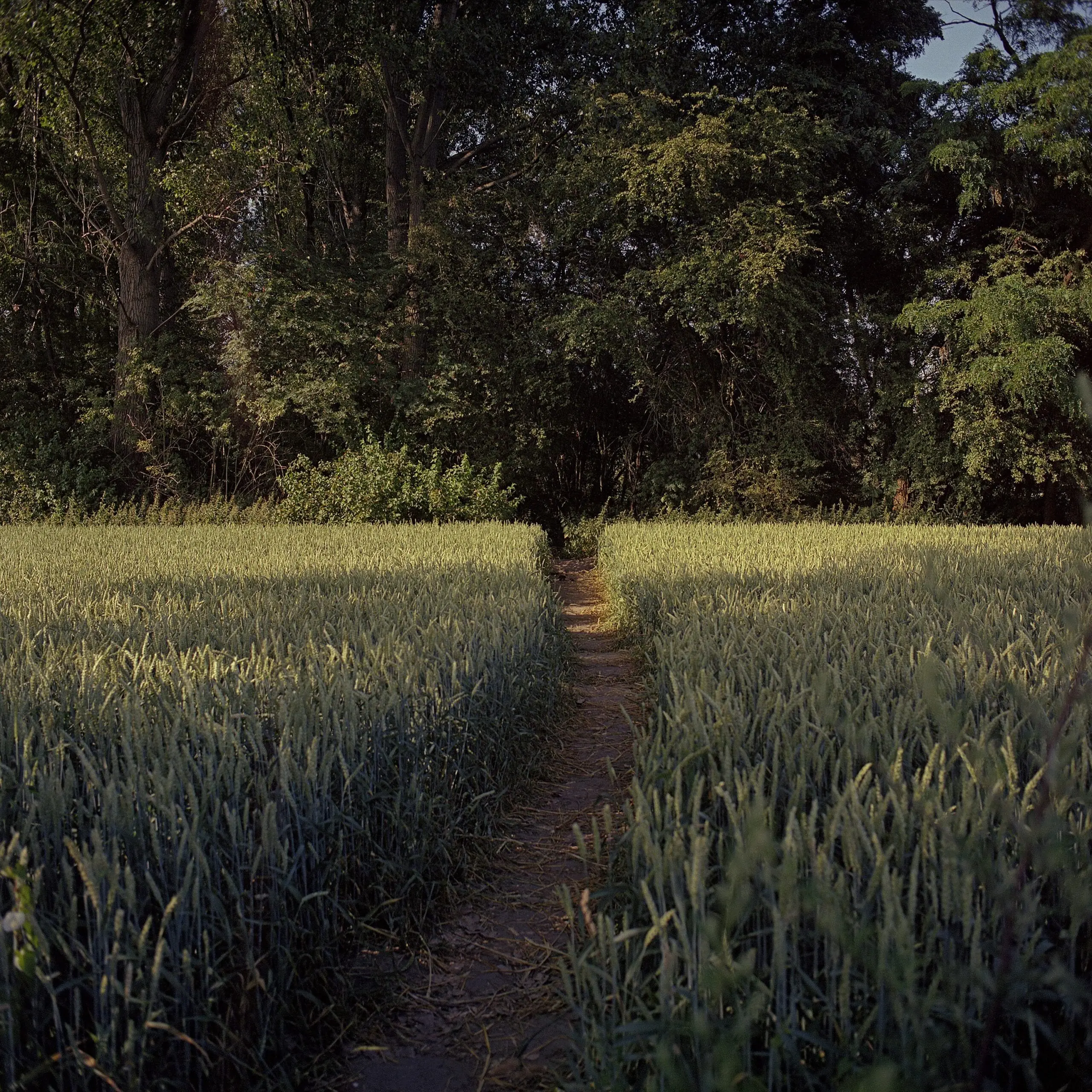 Nod 1