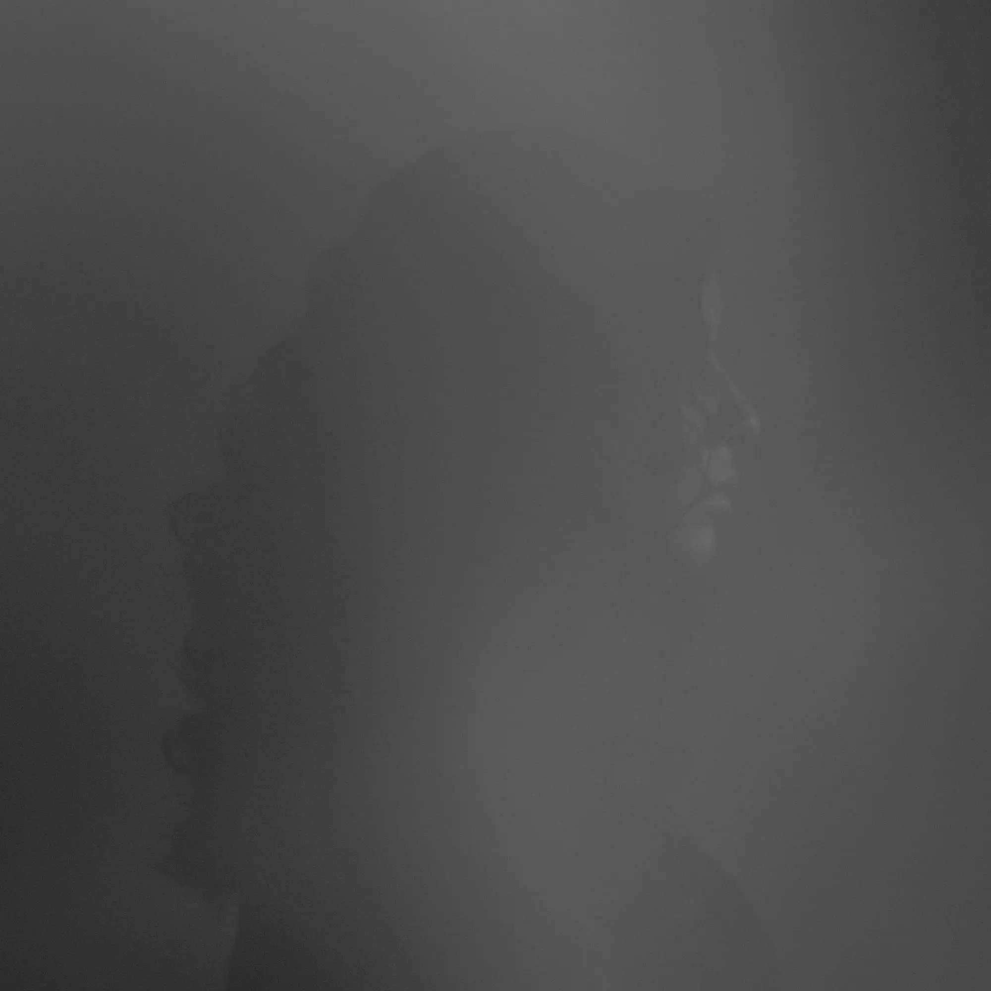 Sumi Anjuman Self Portrait