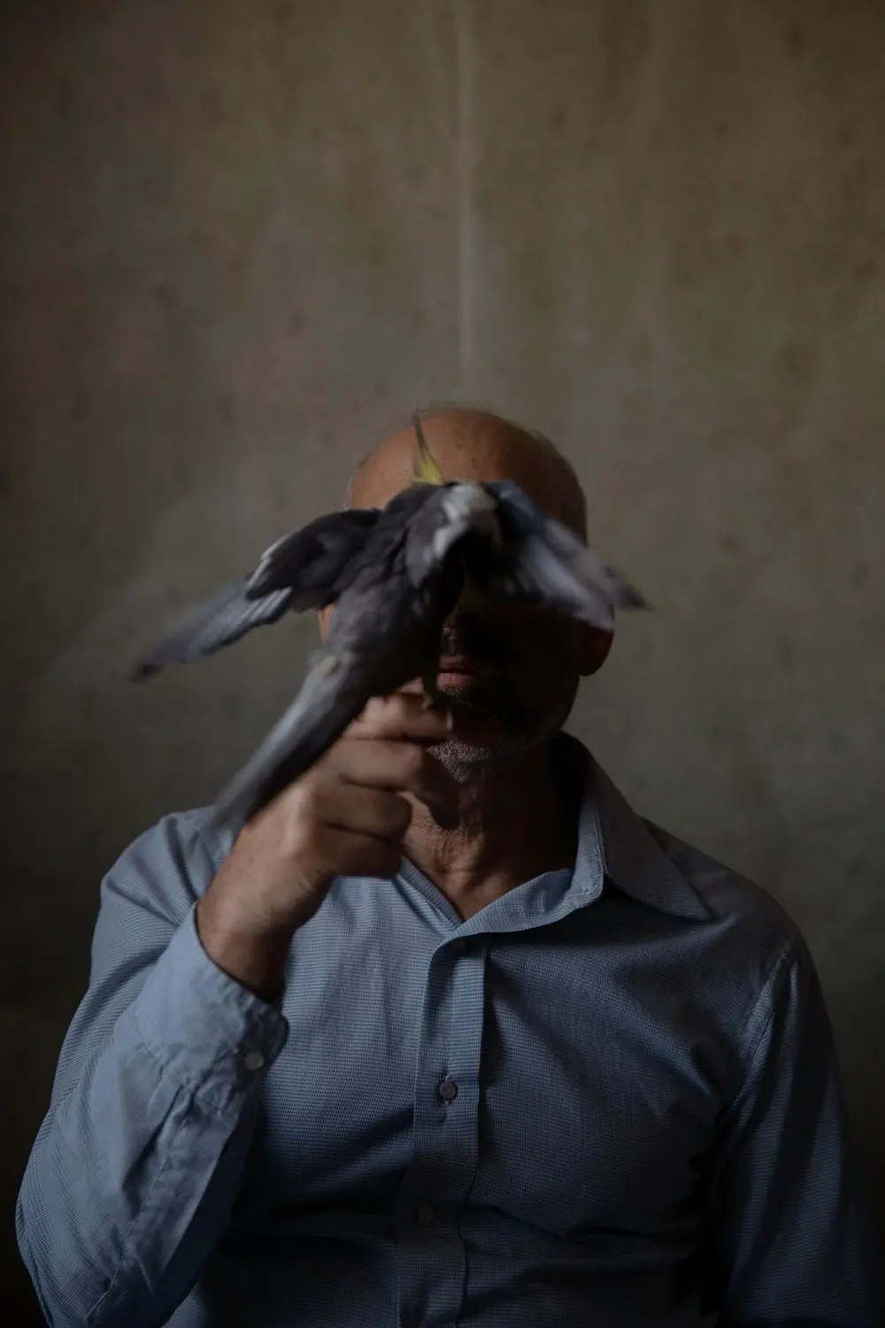 1. Oded Wagenstein Transparent Curtains Michael