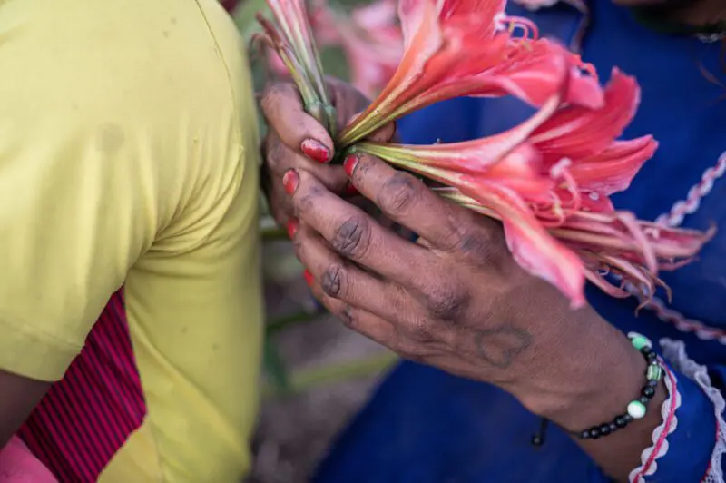 A woman holds some flowers after a working day at a coffee farm in Risaralda.