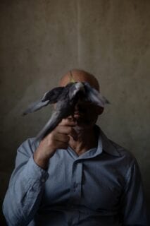 1. Oded Wagenstein Transparent Curtains Michael