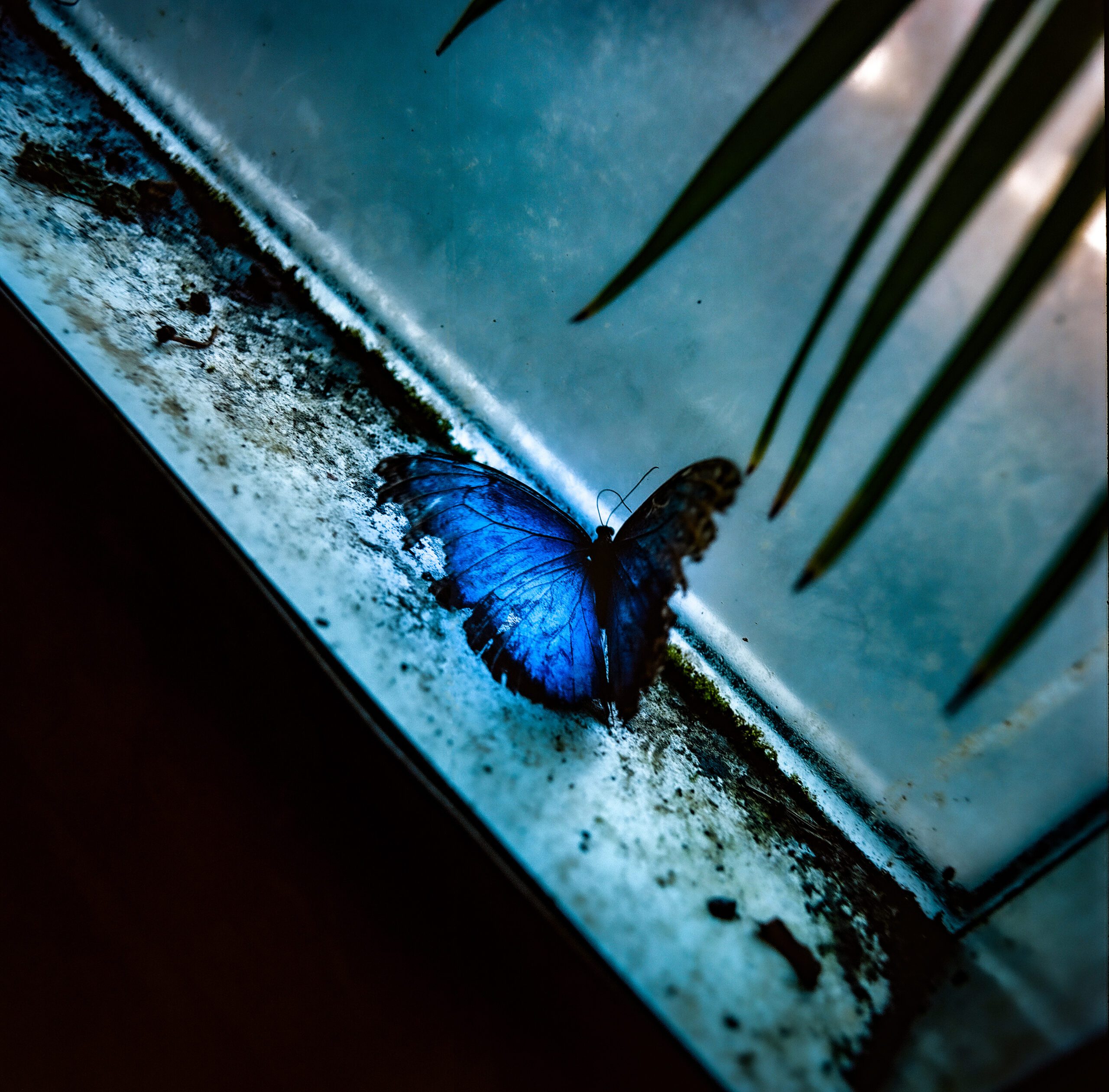 HiRes2024 PPSeries YILDIRAN CO