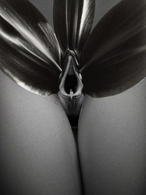 LoRes2024 PPSeries BOSCO AH