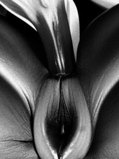 LoRes2024 PPSeries BOSCO HH