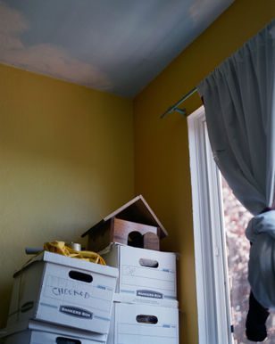 LoRes2024 PPSeries MAUCCI KO