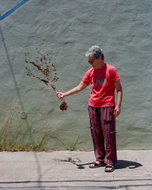 LoRes2024 PPSeries MAUCCI NO