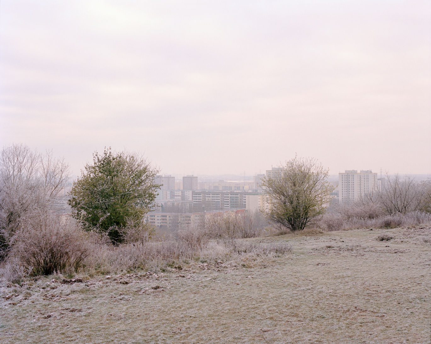 506b65ae cda6 4c55 9a76 a7769d759929