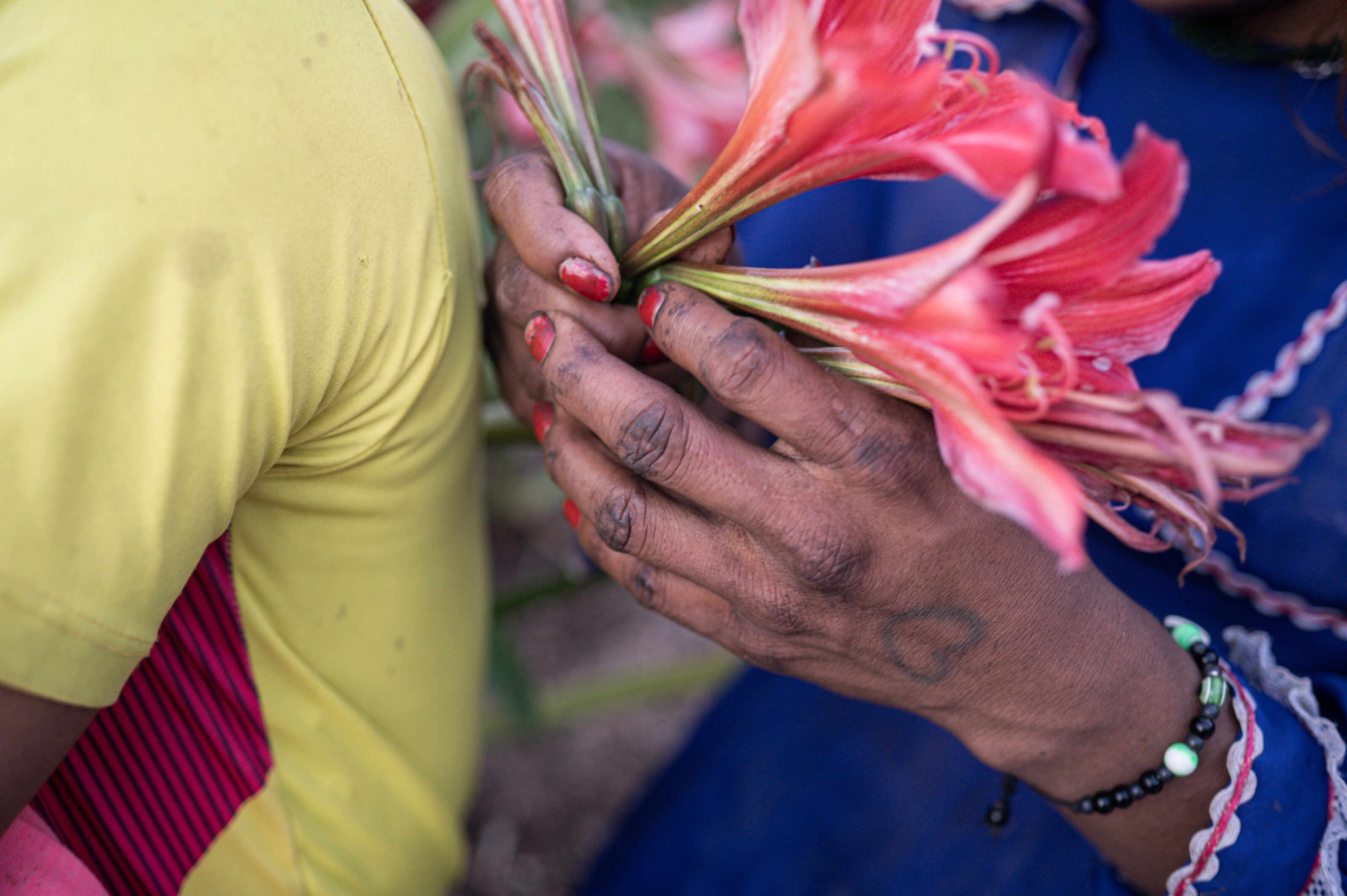 A woman holds some flowers after a working day at a coffee farm in Risaralda.